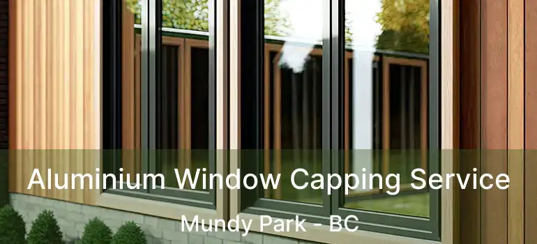 Aluminium Window Capping Service Mundy Park - BC
