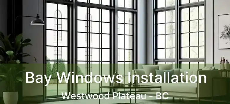 Bay Windows Installation Westwood Plateau - BC