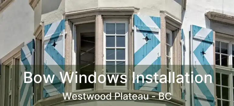 Bow Windows Installation Westwood Plateau - BC