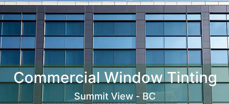 Commercial Window Tinting Summit View - BC