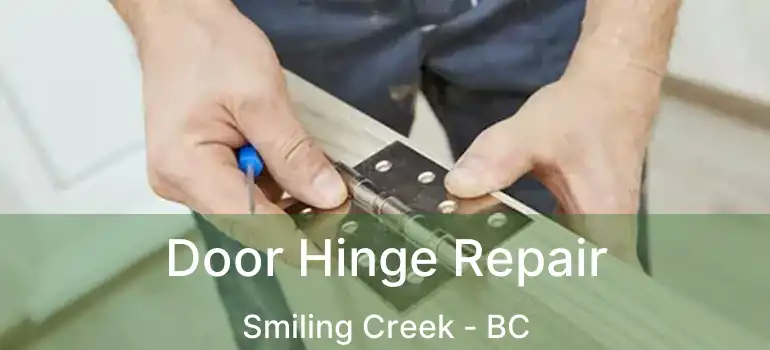 Door Hinge Repair Smiling Creek - BC