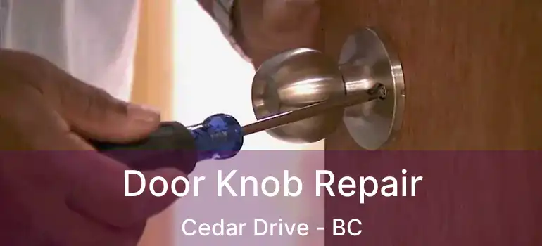 Door Knob Repair Cedar Drive - BC