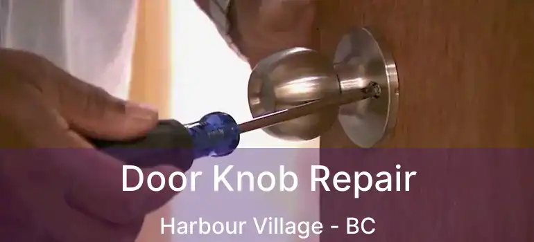 Door Knob Repair Harbour Village - BC