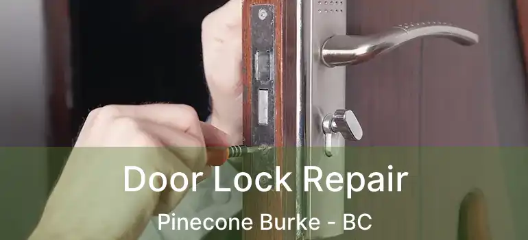 Door Lock Repair Pinecone Burke - BC