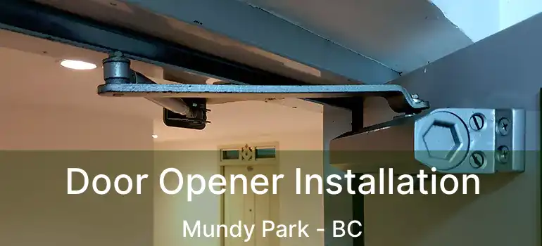 Door Opener Installation Mundy Park - BC