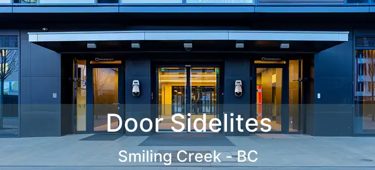 Door Sidelites Smiling Creek - BC