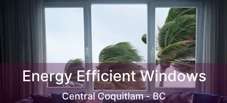 Energy Efficient Windows Central Coquitlam - BC