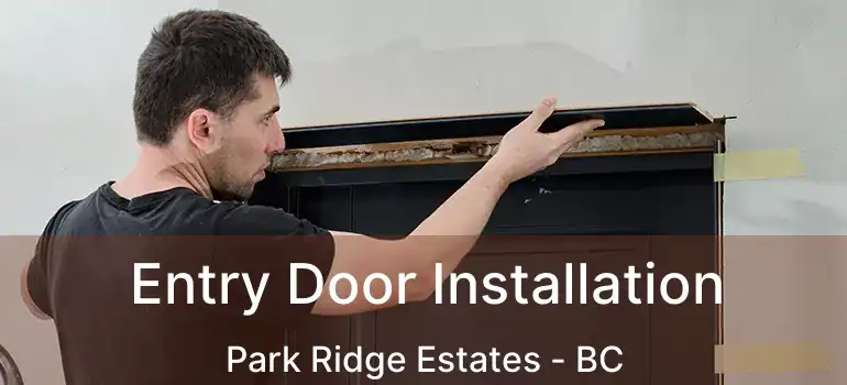 Entry Door Installation Park Ridge Estates - BC