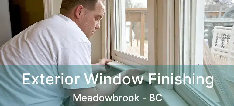 Exterior Window Finishing Meadowbrook - BC