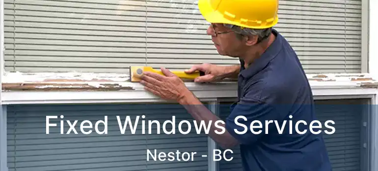 Fixed Windows Services Nestor - BC