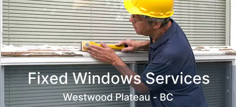 Fixed Windows Services Westwood Plateau - BC