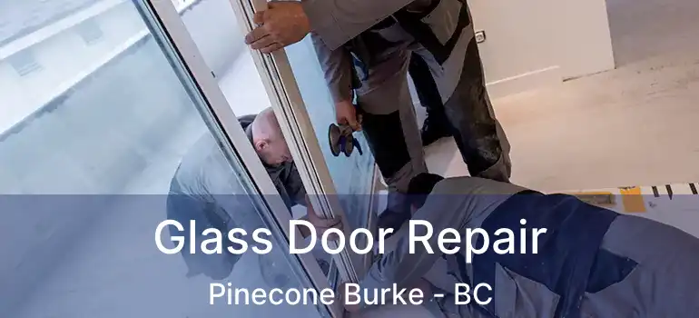 Glass Door Repair Pinecone Burke - BC