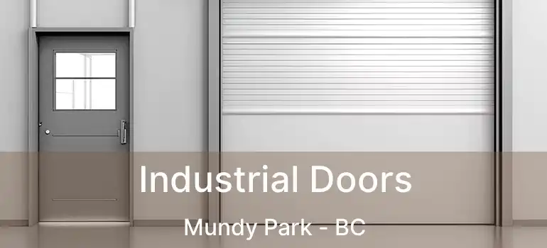 Industrial Doors Mundy Park - BC