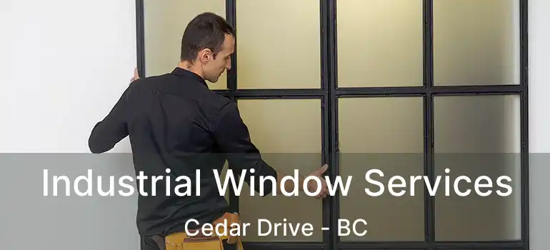 Industrial Window Services Cedar Drive - BC
