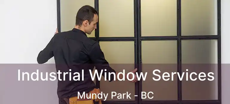 Industrial Window Services Mundy Park - BC
