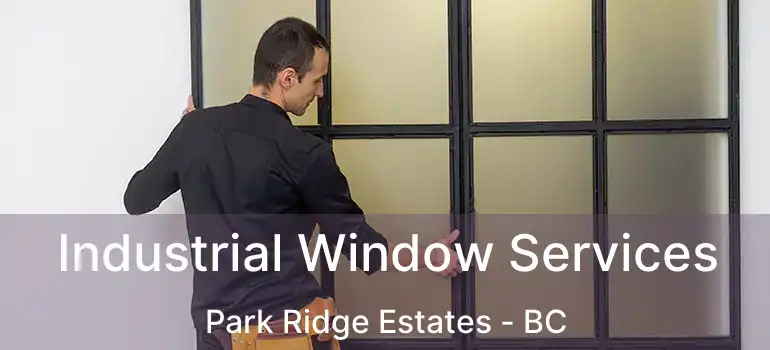 Industrial Window Services Park Ridge Estates - BC