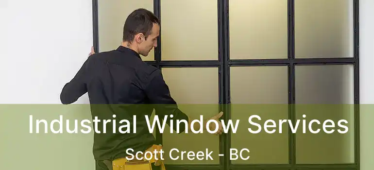 Industrial Window Services Scott Creek - BC