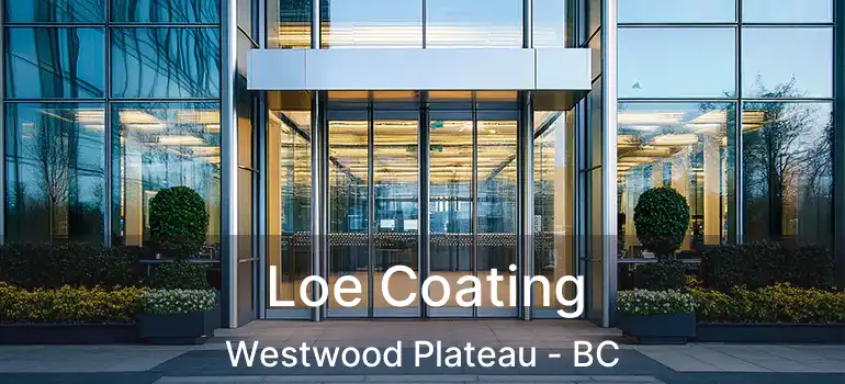Loe Coating Westwood Plateau - BC