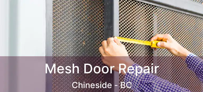 Mesh Door Repair Chineside - BC