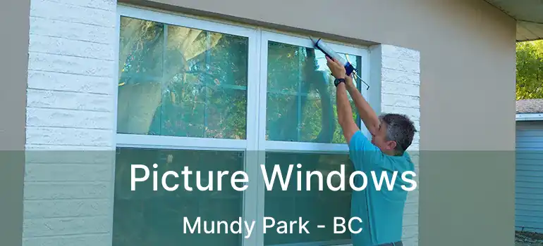 Picture Windows Mundy Park - BC