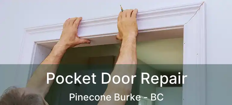 Pocket Door Repair Pinecone Burke - BC