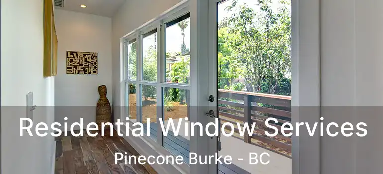 Residential Window Services Pinecone Burke - BC