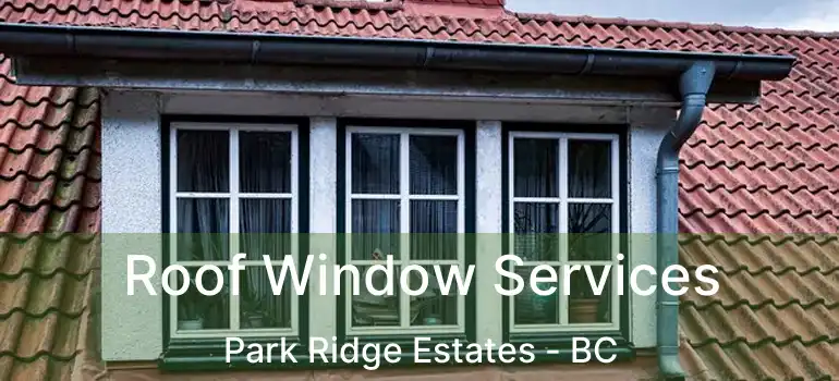 Roof Window Services Park Ridge Estates - BC