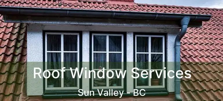 Roof Window Services Sun Valley - BC