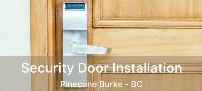 Security Door Installation Pinecone Burke - BC