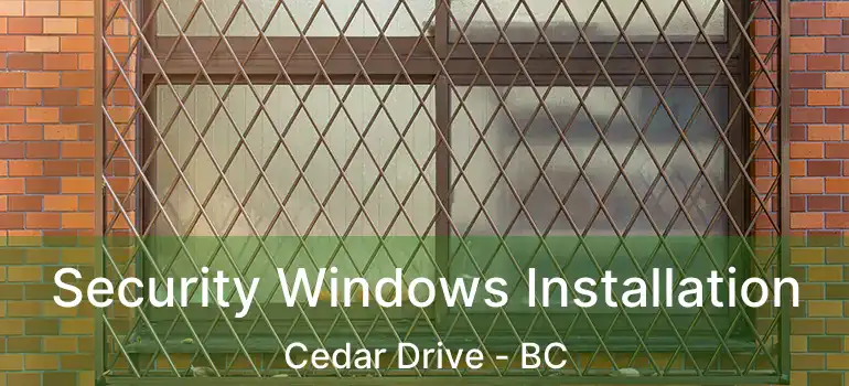 Security Windows Installation Cedar Drive - BC