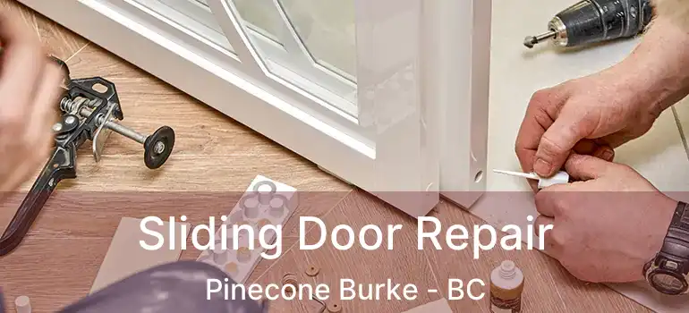 Sliding Door Repair Pinecone Burke - BC
