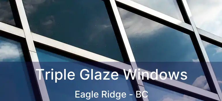Triple Glaze Windows Eagle Ridge - BC
