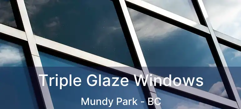 Triple Glaze Windows Mundy Park - BC