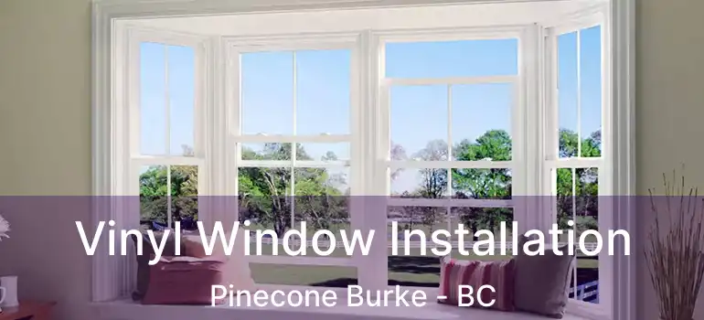 Vinyl Window Installation Pinecone Burke - BC