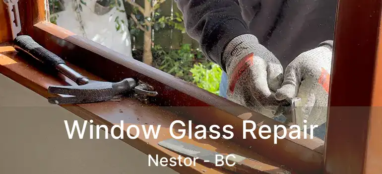 Window Glass Repair Nestor - BC