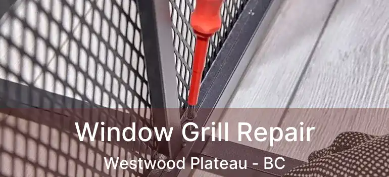 Window Grill Repair Westwood Plateau - BC