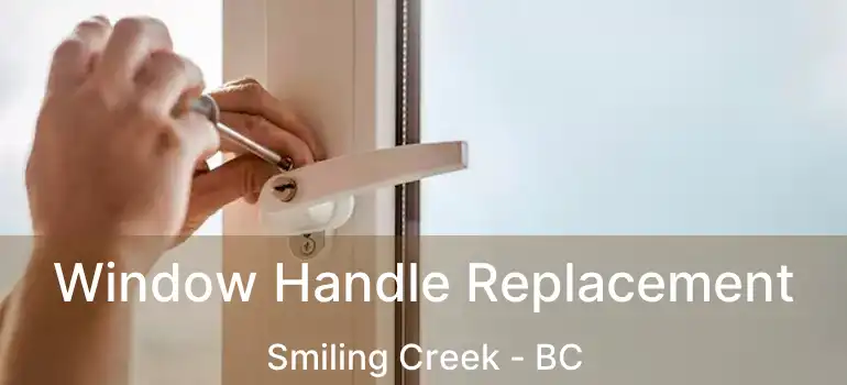Window Handle Replacement Smiling Creek - BC