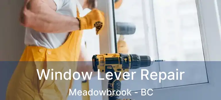 Window Lever Repair Meadowbrook - BC