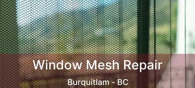 Window Mesh Repair Burquitlam - BC