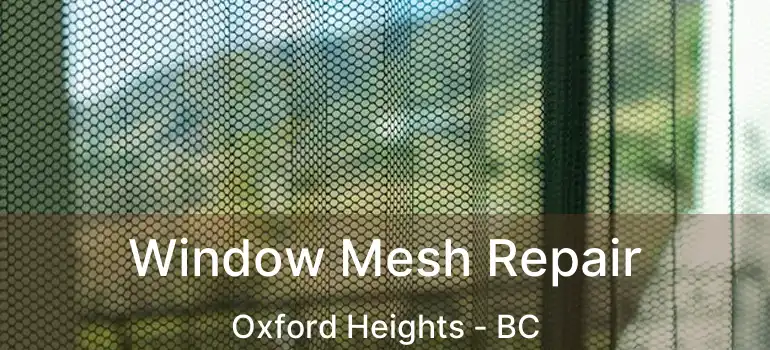 Window Mesh Repair Oxford Heights - BC