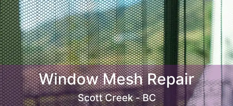Window Mesh Repair Scott Creek - BC