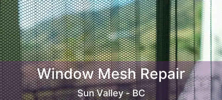 Window Mesh Repair Sun Valley - BC