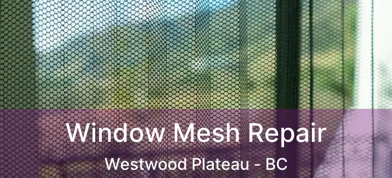 Window Mesh Repair Westwood Plateau - BC