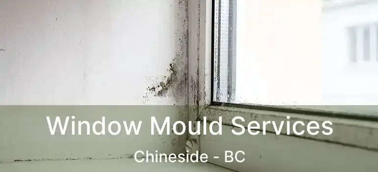 Window Mould Services Chineside - BC