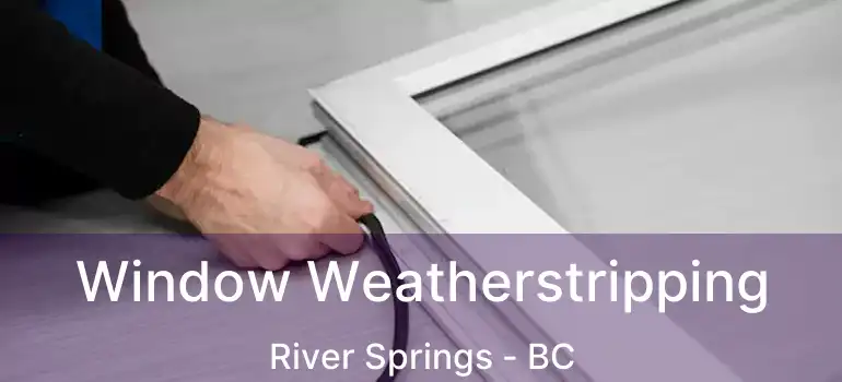 Window Weatherstripping River Springs - BC