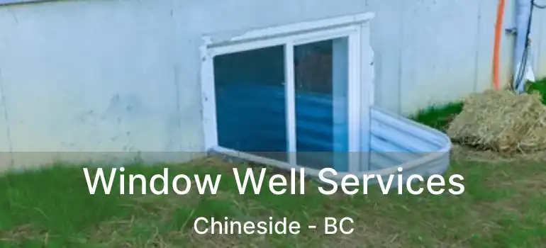 Window Well Services Chineside - BC